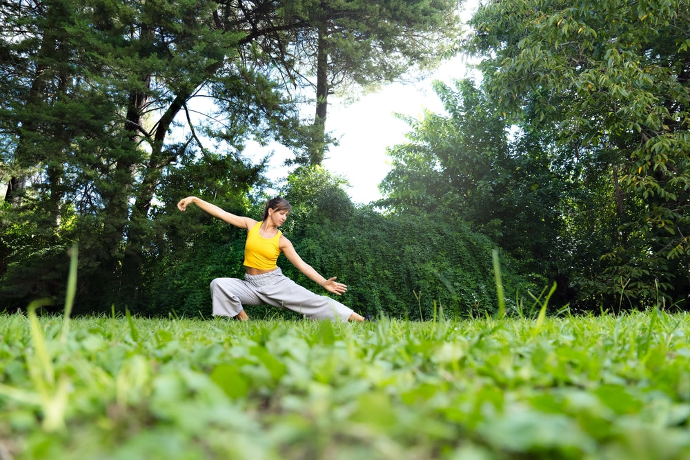 exercitii tai chi