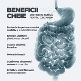 Antioxidant Complex DY Life, 60 Softgels, 60 Serviri