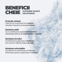 Borage Oil + Vitamin E DY Life, 30 Softgels, 30 Serviri