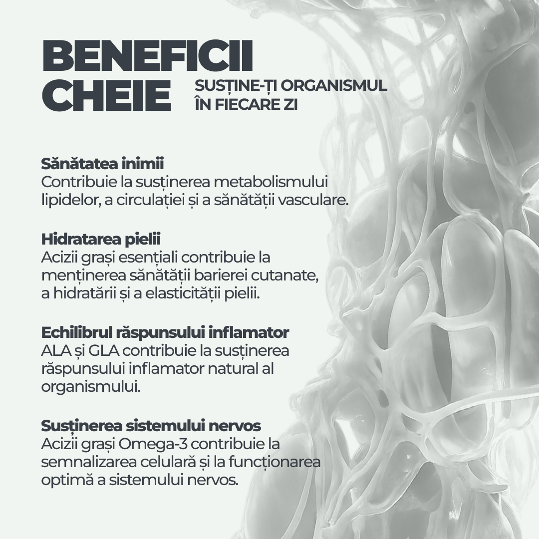 Hemp Oil DY Life, 60 Softgels, 30 Serviri