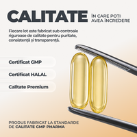 Macerated Garlic Oil DY Life, 30 Softgels, 30 Serviri