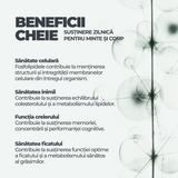 Soy Lecithin DY Life, 60 Softgels, 60 Serviri