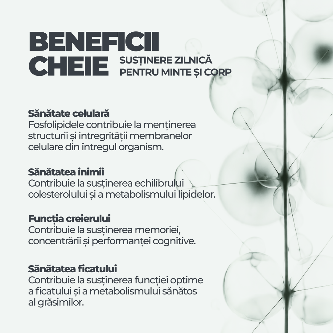 Soy Lecithin DY Life, 60 Softgels, 60 Serviri